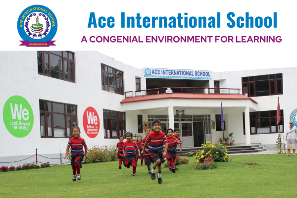 Ace International School