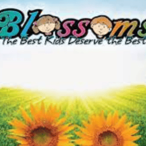 Blossoms Play School