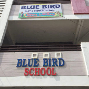 Blue Bird Play School
