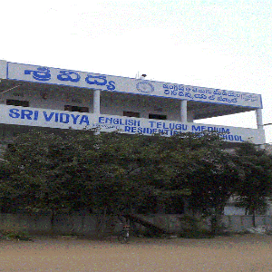 Sri Vidya Secondary School