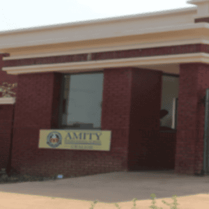 Amity International School