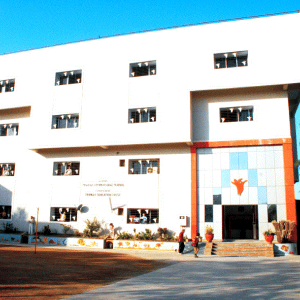 Tripada English School