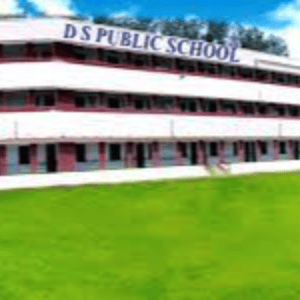 D S Public School