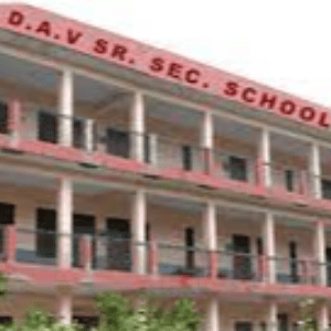 Kb Dav Senior Secondary Public School