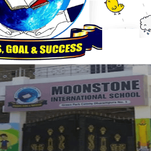Moonstone International School