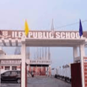 Ilex Public School