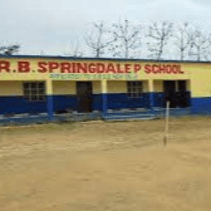 Rb Springdale Public School