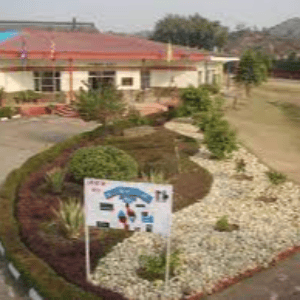 Rayat International School
