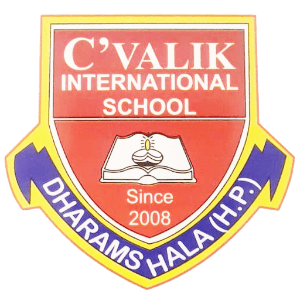Cvalik International School