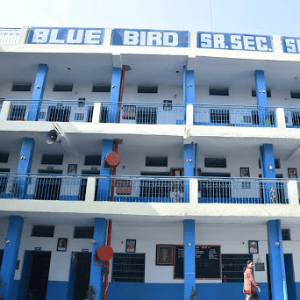 Blue Bird Senior Secondary School