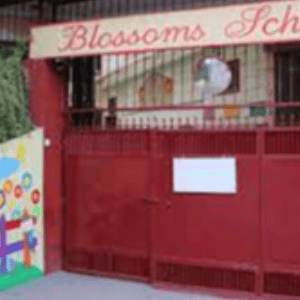 Blossoms School