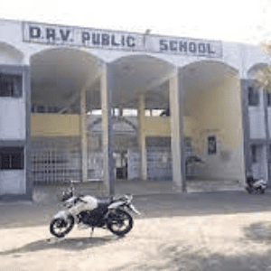 Dav Public School