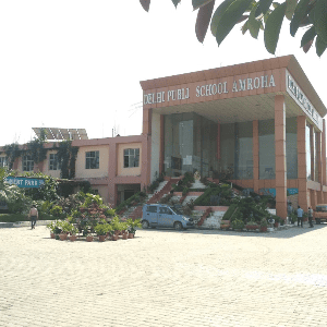 Delhi Public School