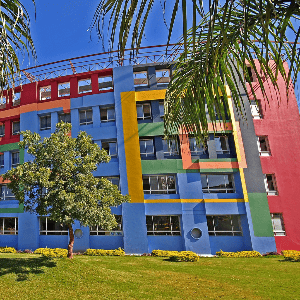 The Vit School