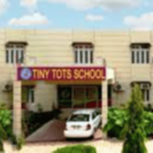 Tiny Tots Senior Secondary School