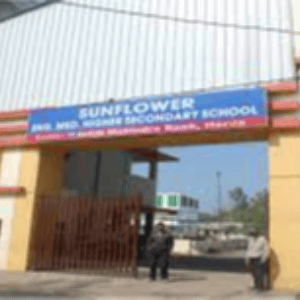 Sunflower School