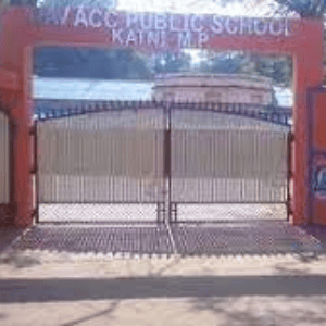 Dav Acc Public School