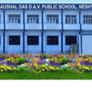 Mkd Dav Public School