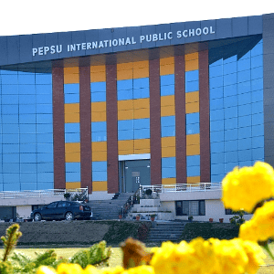 Pepsu International Public School