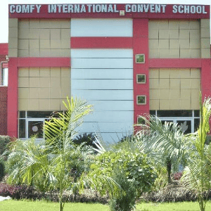 Comfy International Convent
