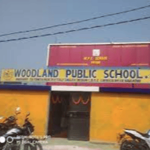 Woodland Public School