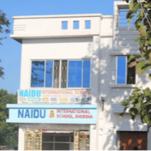 Naidu International School