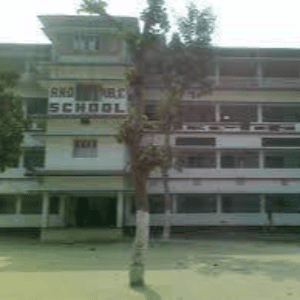 Acharya Narendra Deo Public School