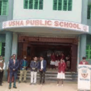 Usha Public School