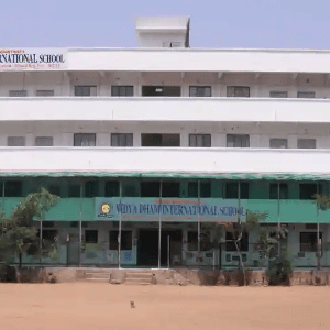 Vidya Dham International School