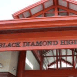 Black Diamond Public School