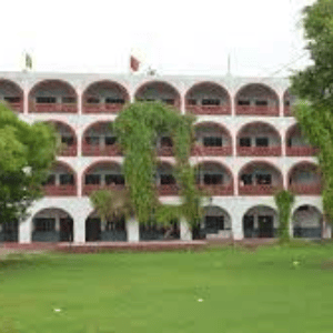 Surya Academy Sr Sec Public School