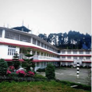 Hill Queen Education Institute