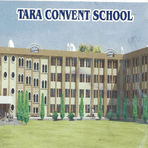 Tara Convent School