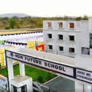 Mdn Future School
