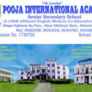 Pooja International Academy