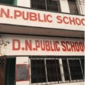Dn Public School