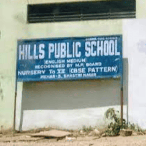 Hills Public School