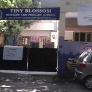 Tiny Blossom Nursery School