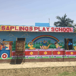 Saplings Play School