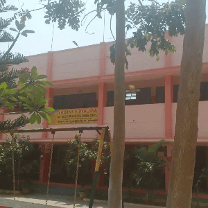 Nagini Vidyalaya Matric Hr Sec School