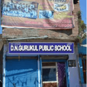 Dn Gurukul Public School