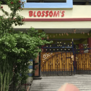 Blossom Kids School