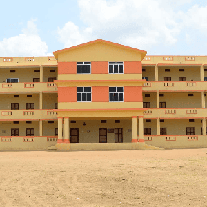 Vidya Mandir School