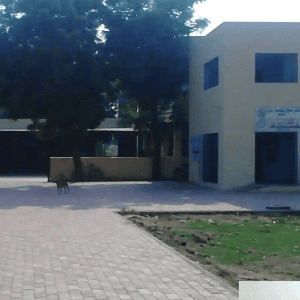 Maharishi Arvind Hindi Primary School