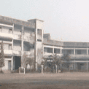 Desai N D N Sarvajanik High School