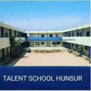 Talent School