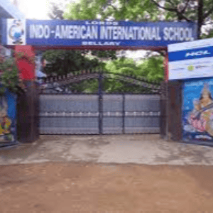 Indo American International School