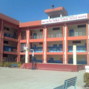 Mehr Chand Mahajan D A V Senior Secondary Public School