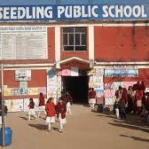 Seedling Public School