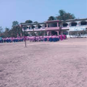 Ravindernath Tagore Public High School